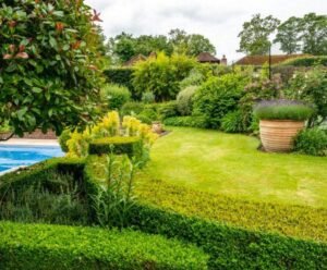 How Taking Care of Your Garden Regularly Can Raise the Value of Your Property